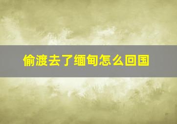 偷渡去了缅甸怎么回国