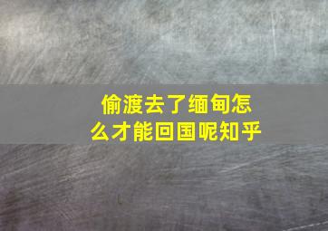 偷渡去了缅甸怎么才能回国呢知乎