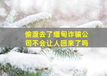 偷渡去了缅甸诈骗公司不会让人回来了吗