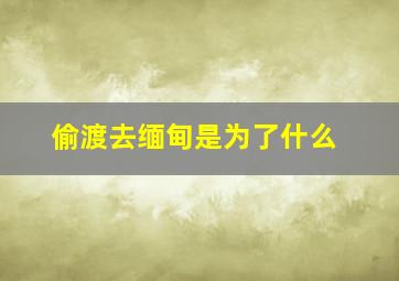 偷渡去缅甸是为了什么