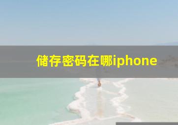 储存密码在哪iphone