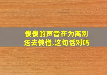 傻傻的声音在为离别送去惋惜,这句话对吗