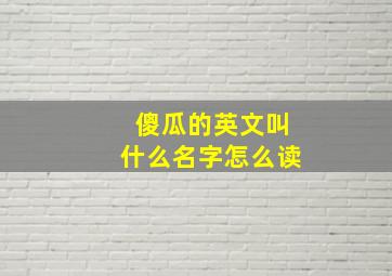 傻瓜的英文叫什么名字怎么读