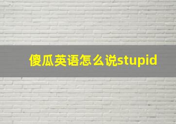 傻瓜英语怎么说stupid