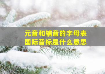 元音和辅音的字母表国际音标是什么意思