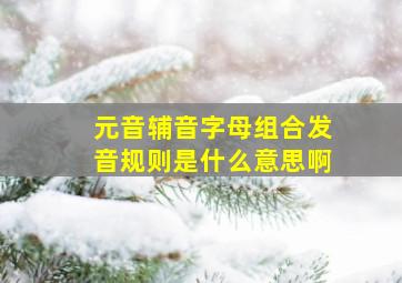 元音辅音字母组合发音规则是什么意思啊