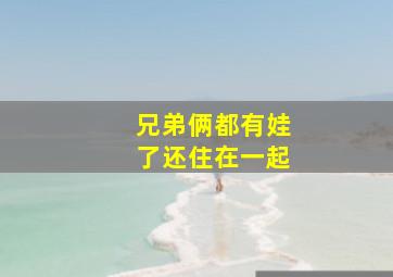 兄弟俩都有娃了还住在一起