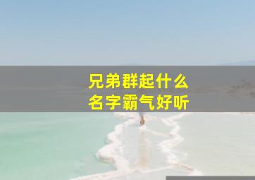 兄弟群起什么名字霸气好听