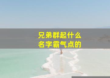 兄弟群起什么名字霸气点的