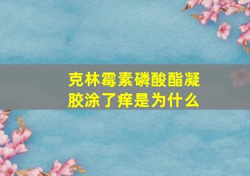 克林霉素磷酸酯凝胶涂了痒是为什么