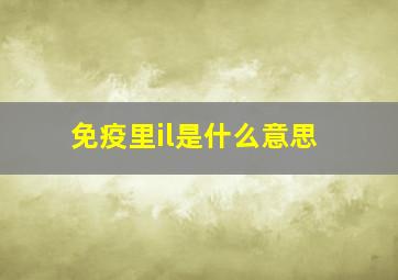 免疫里il是什么意思