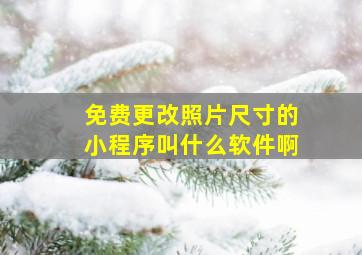 免费更改照片尺寸的小程序叫什么软件啊