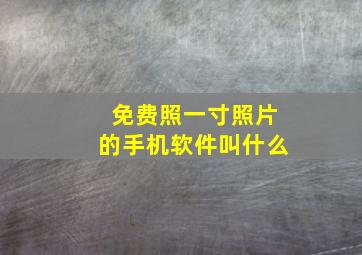 免费照一寸照片的手机软件叫什么