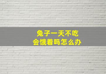 兔子一天不吃会饿着吗怎么办