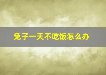 兔子一天不吃饭怎么办