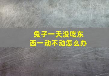 兔子一天没吃东西一动不动怎么办