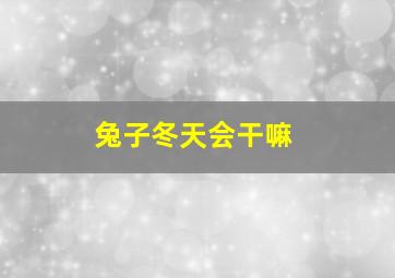 兔子冬天会干嘛