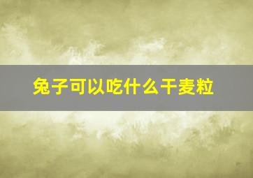 兔子可以吃什么干麦粒