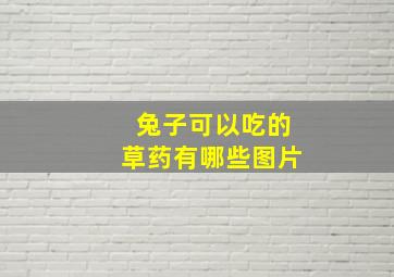 兔子可以吃的草药有哪些图片