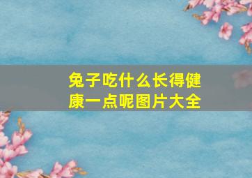 兔子吃什么长得健康一点呢图片大全