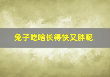 兔子吃啥长得快又胖呢