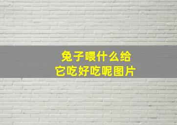 兔子喂什么给它吃好吃呢图片