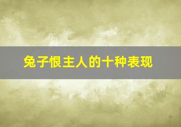 兔子恨主人的十种表现