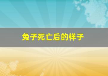 兔子死亡后的样子