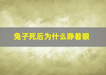 兔子死后为什么睁着眼