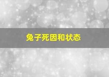 兔子死因和状态