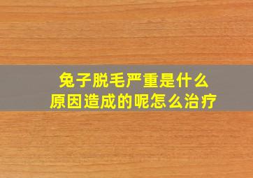 兔子脱毛严重是什么原因造成的呢怎么治疗