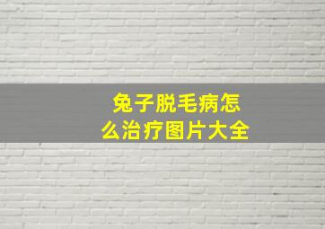 兔子脱毛病怎么治疗图片大全