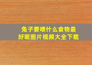 兔子要喂什么食物最好呢图片视频大全下载