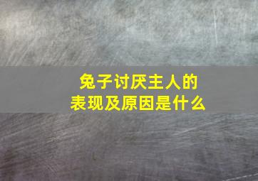 兔子讨厌主人的表现及原因是什么