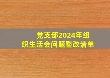 党支部2024年组织生活会问题整改清单