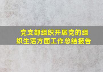 党支部组织开展党的组织生活方面工作总结报告