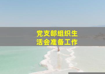 党支部组织生活会准备工作