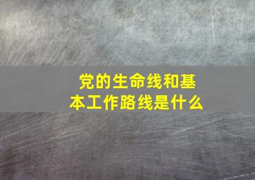 党的生命线和基本工作路线是什么