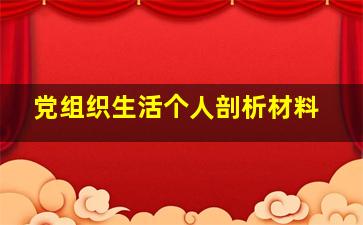 党组织生活个人剖析材料