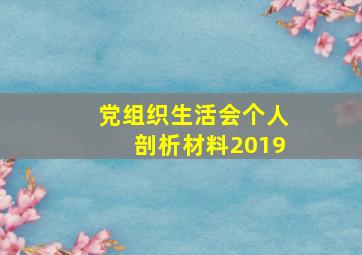 党组织生活会个人剖析材料2019