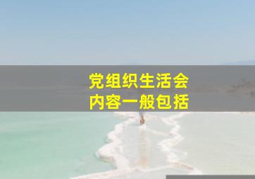 党组织生活会内容一般包括