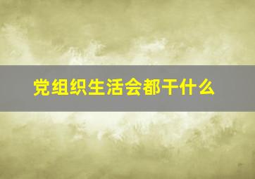 党组织生活会都干什么