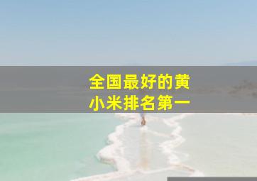 全国最好的黄小米排名第一