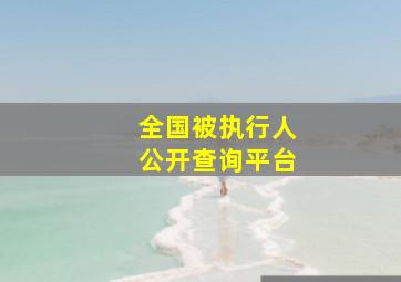 全国被执行人公开查询平台