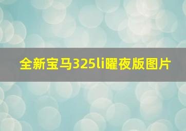 全新宝马325li曜夜版图片