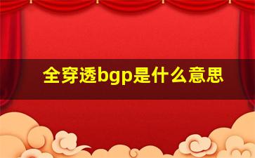 全穿透bgp是什么意思