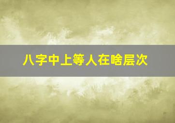 八字中上等人在啥层次