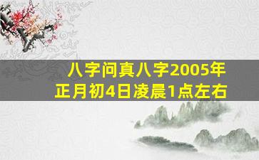 八字问真八字2005年正月初4日凌晨1点左右