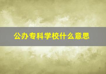 公办专科学校什么意思