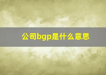 公司bgp是什么意思